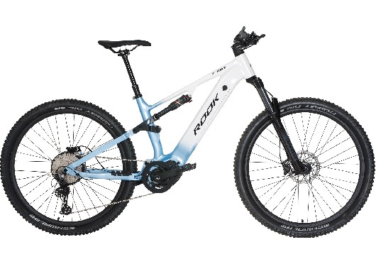 FST25S101